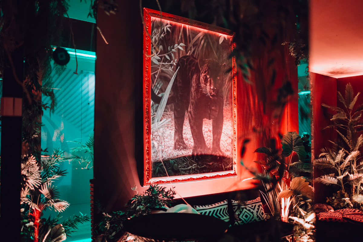 В галереях «Времена года» появилось поп-ап-пространство, вдохновленное джунглями (фото 2)