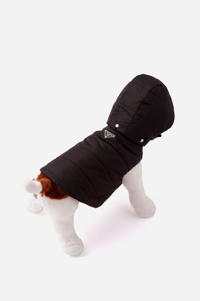 Prada выпустил коллекцию курток для собак (фото 3)