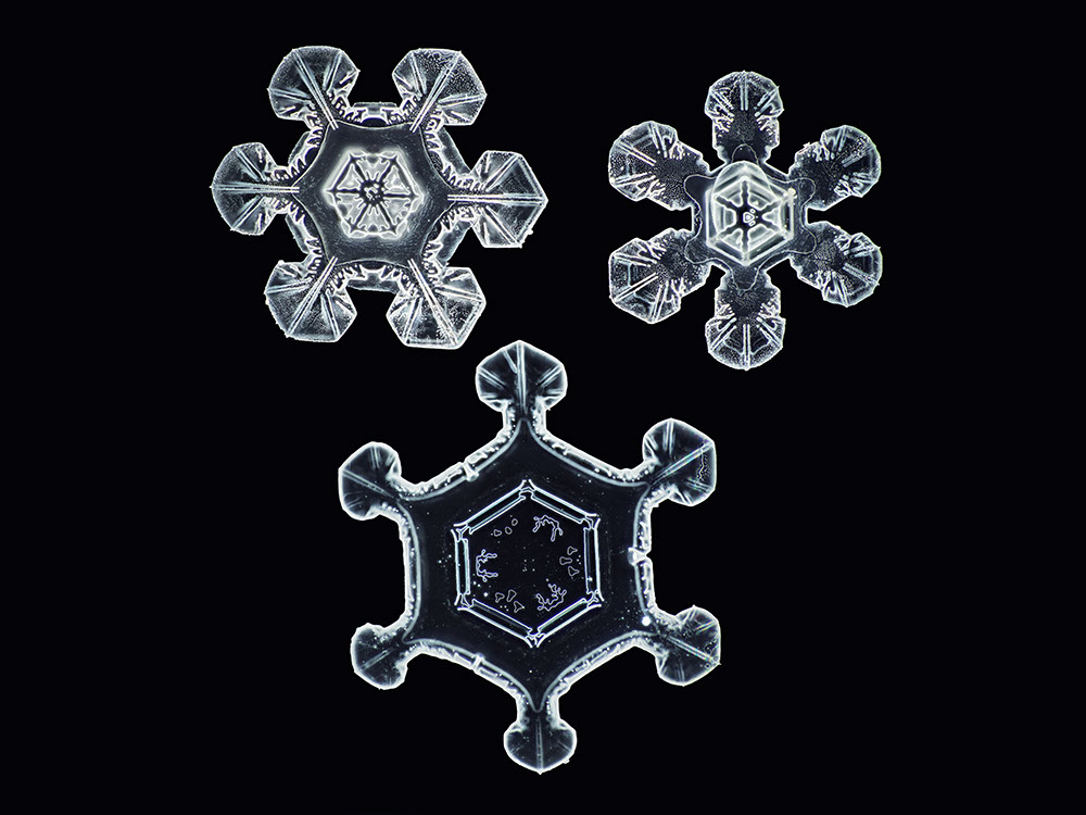 Фотограф заснял снежинки в макросъемке на 100 мегапикселей (фото 2)