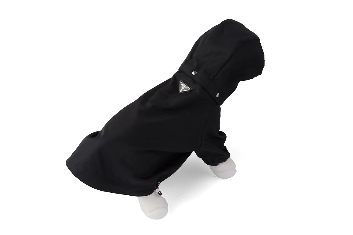 Prada выпустил нейлоновый плащ для собак за 515 долларов (фото 2)