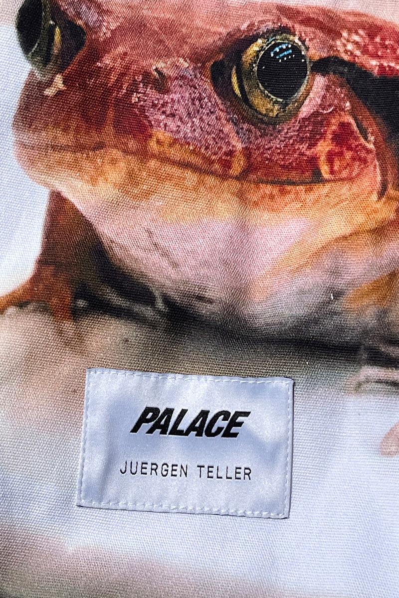 Фотограф Юрген Теллер сделал коллаборацию со скейт-брендом Palace (фото 2)
