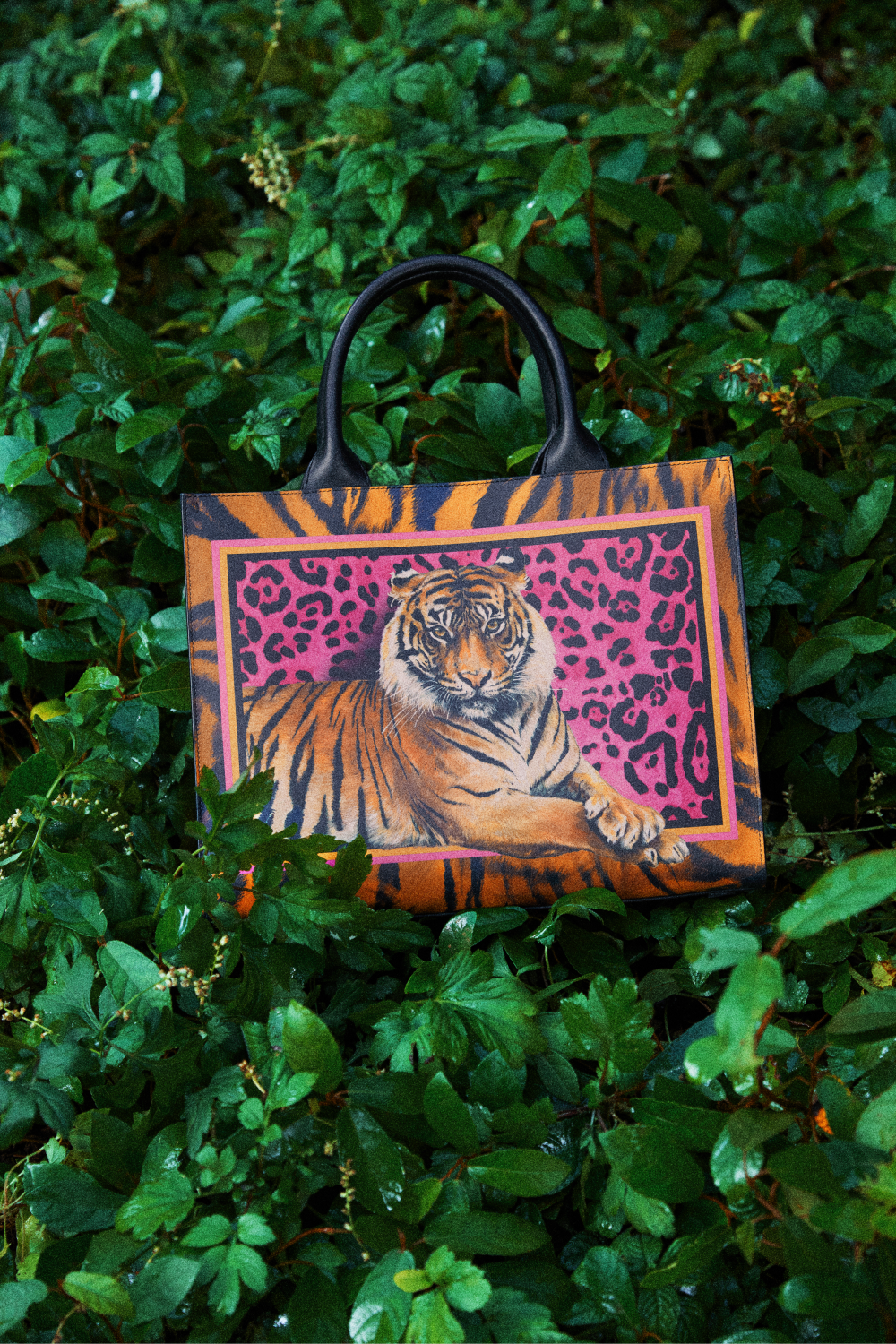 Dolce & Gabbana выпустил капсулу в честь года Тигра (фото 5)