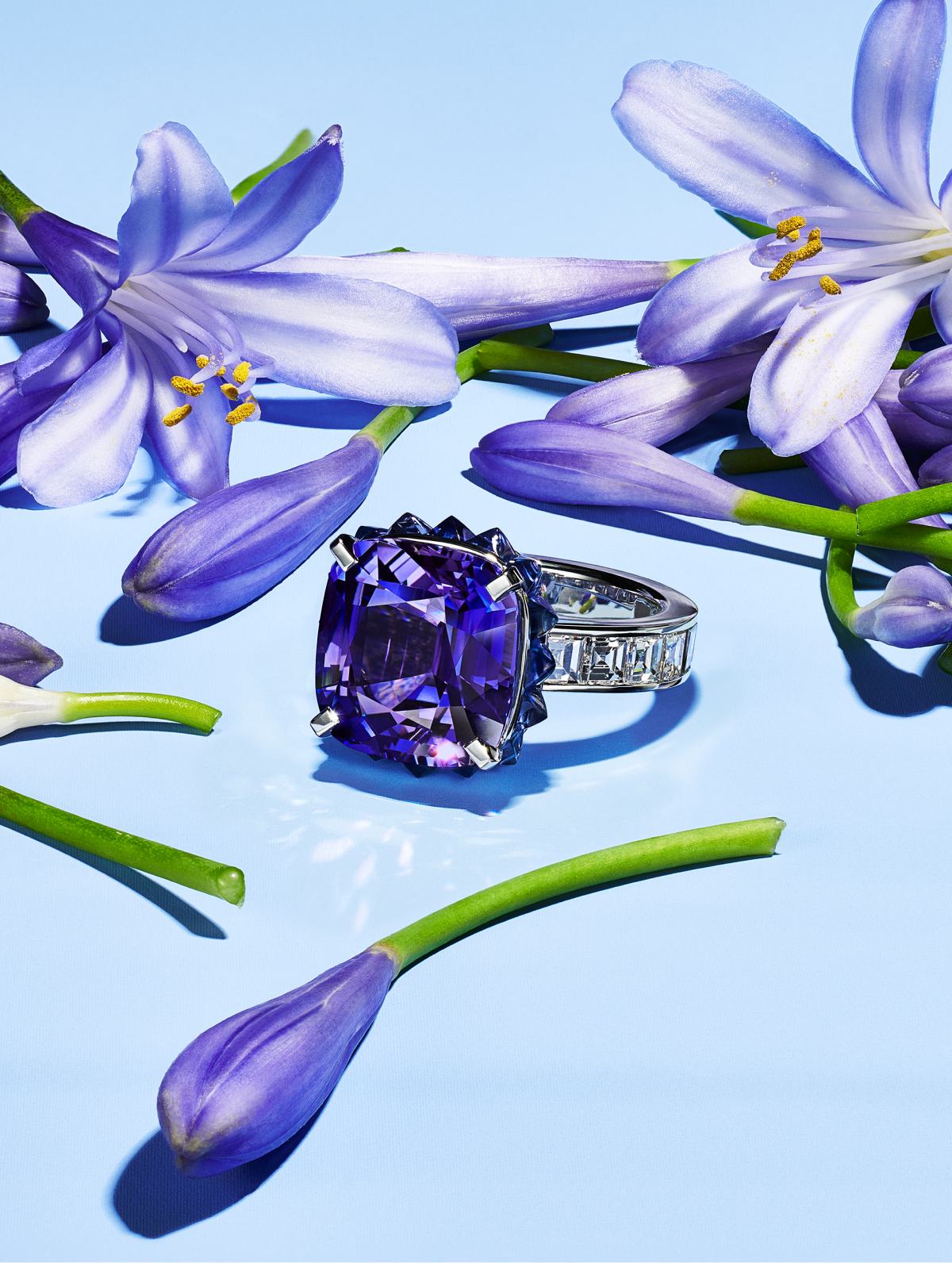 Tiffany & Co. посвятил новую ювелирную коллекцию цветам и растениям (фото 10)