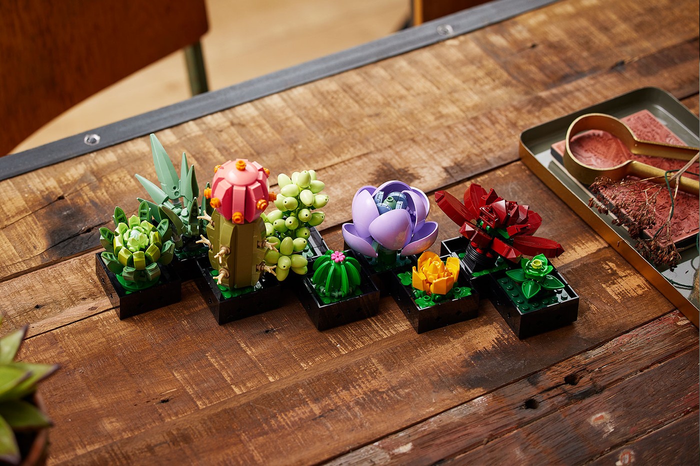 LEGO представила орхидеи и суккуленты как часть «Ботанической коллекции» (фото 2)
