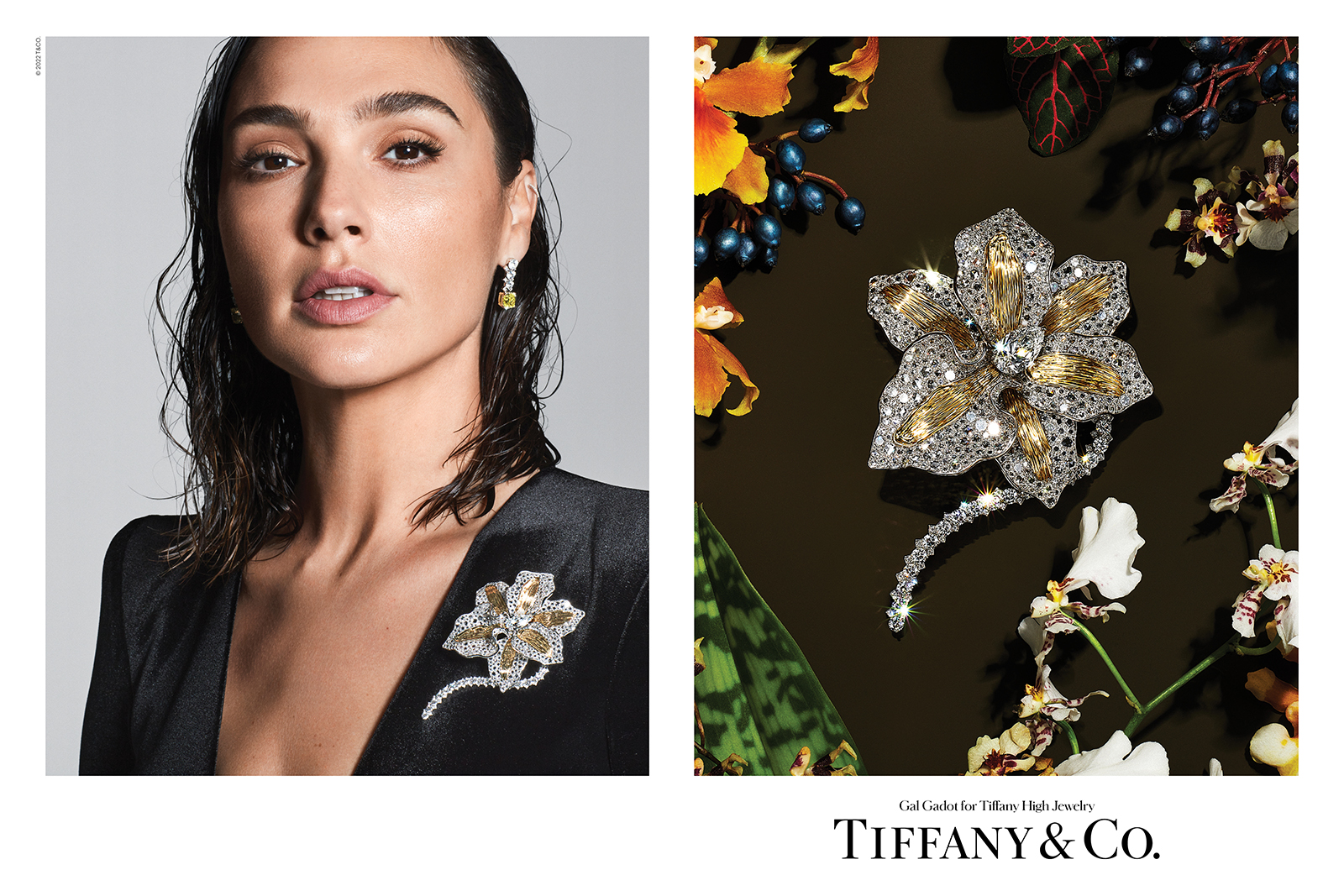 Галь Гадот стала лицом высокой ювелирной линии Tiffany & Co. (фото 1)