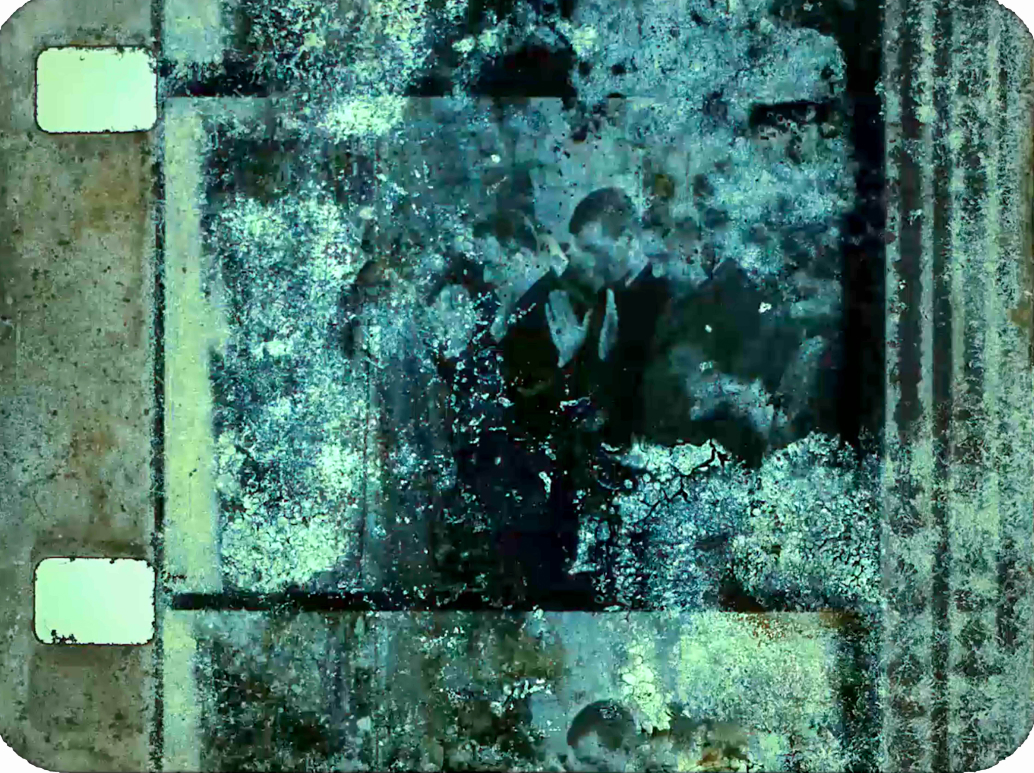 Пустующий российский павильон и женщины-музыканты: чем запомнится 59-я Венецианская биеннале (фото 11)