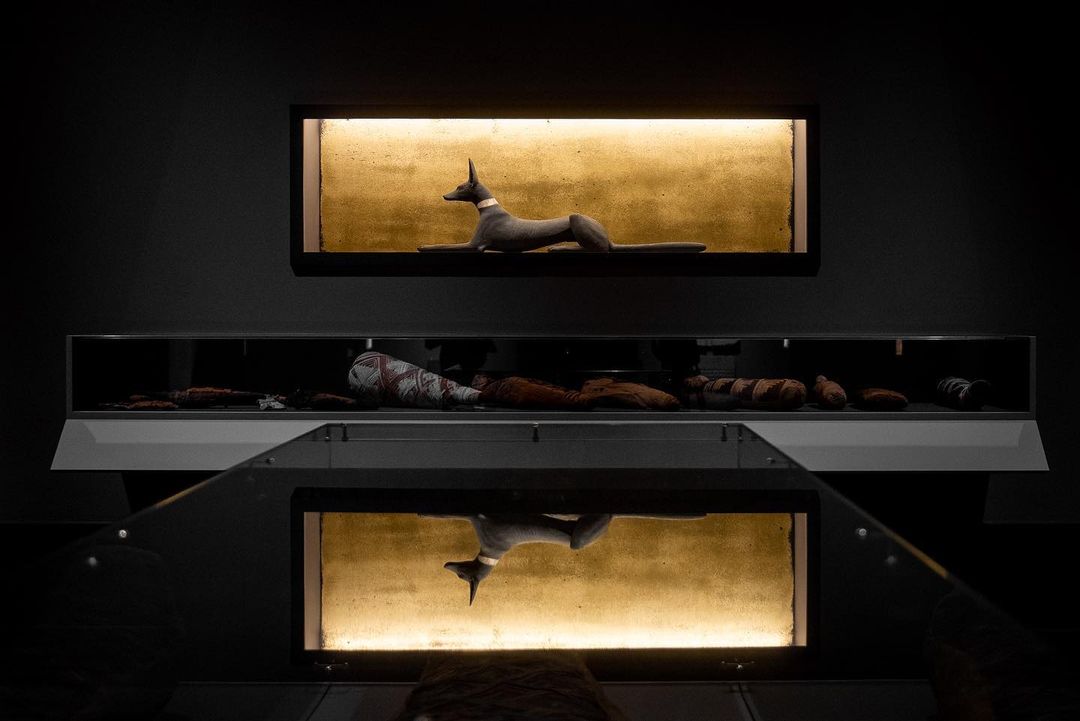 Древний Египет, агиттекстиль и 1960-е: музейные лекции и мастер-классы в мае (фото 3)