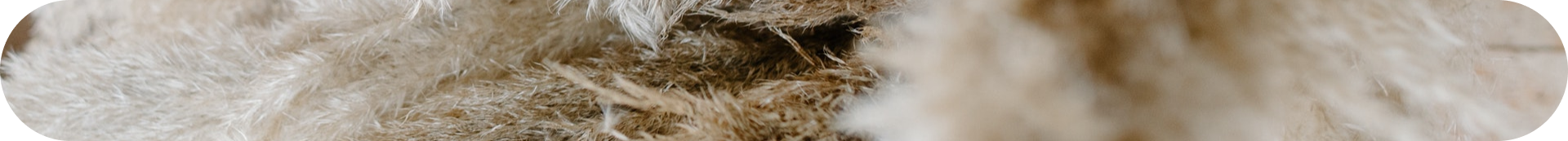 Меланома: всё, что важно знать (фото 5)