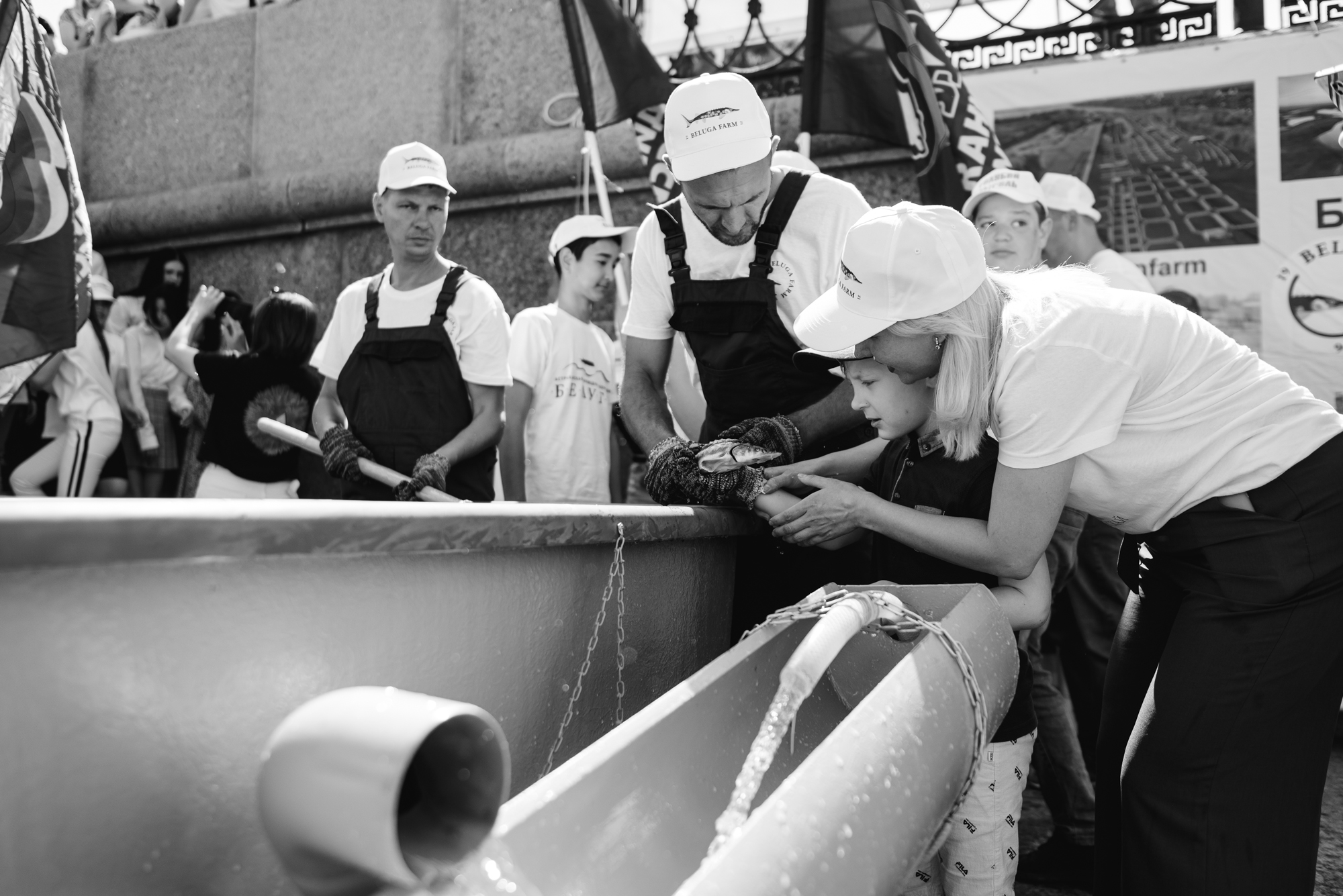 BelugaFarm провел благотворительную акцию по спасению рыб в Астрахани (фото 1)