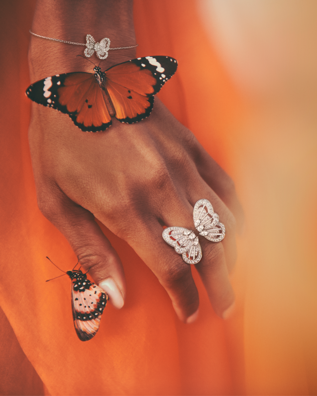 De Beers посвятил новую ювелирную коллекцию бабочкам (фото 3)