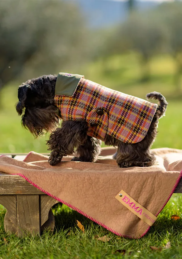 PittiPets: 5 брендов одежды и аксессуаров для пёсиков с выставки Pitti Uomo (фото 4)