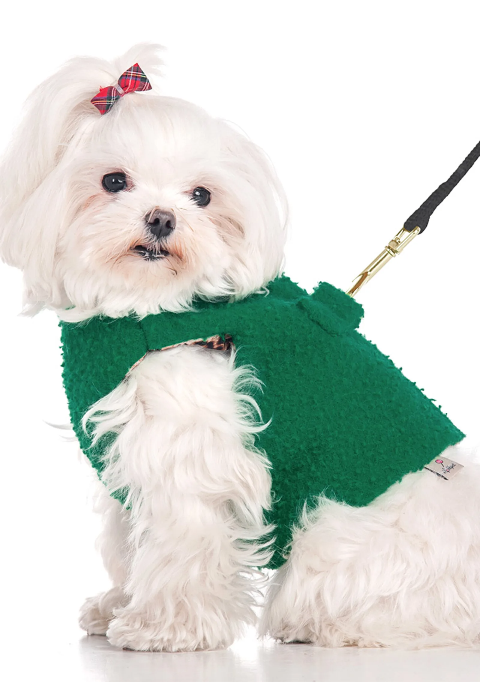 PittiPets: 5 брендов одежды и аксессуаров для пёсиков с выставки Pitti Uomo (фото 8)