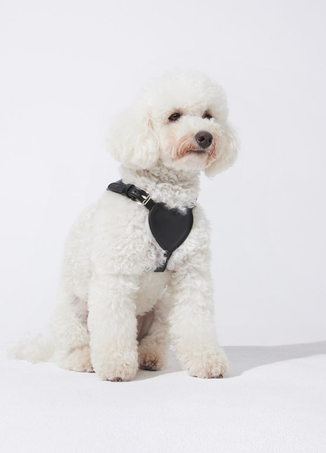 PittiPets: 5 брендов одежды и аксессуаров для пёсиков с выставки Pitti Uomo (фото 5)