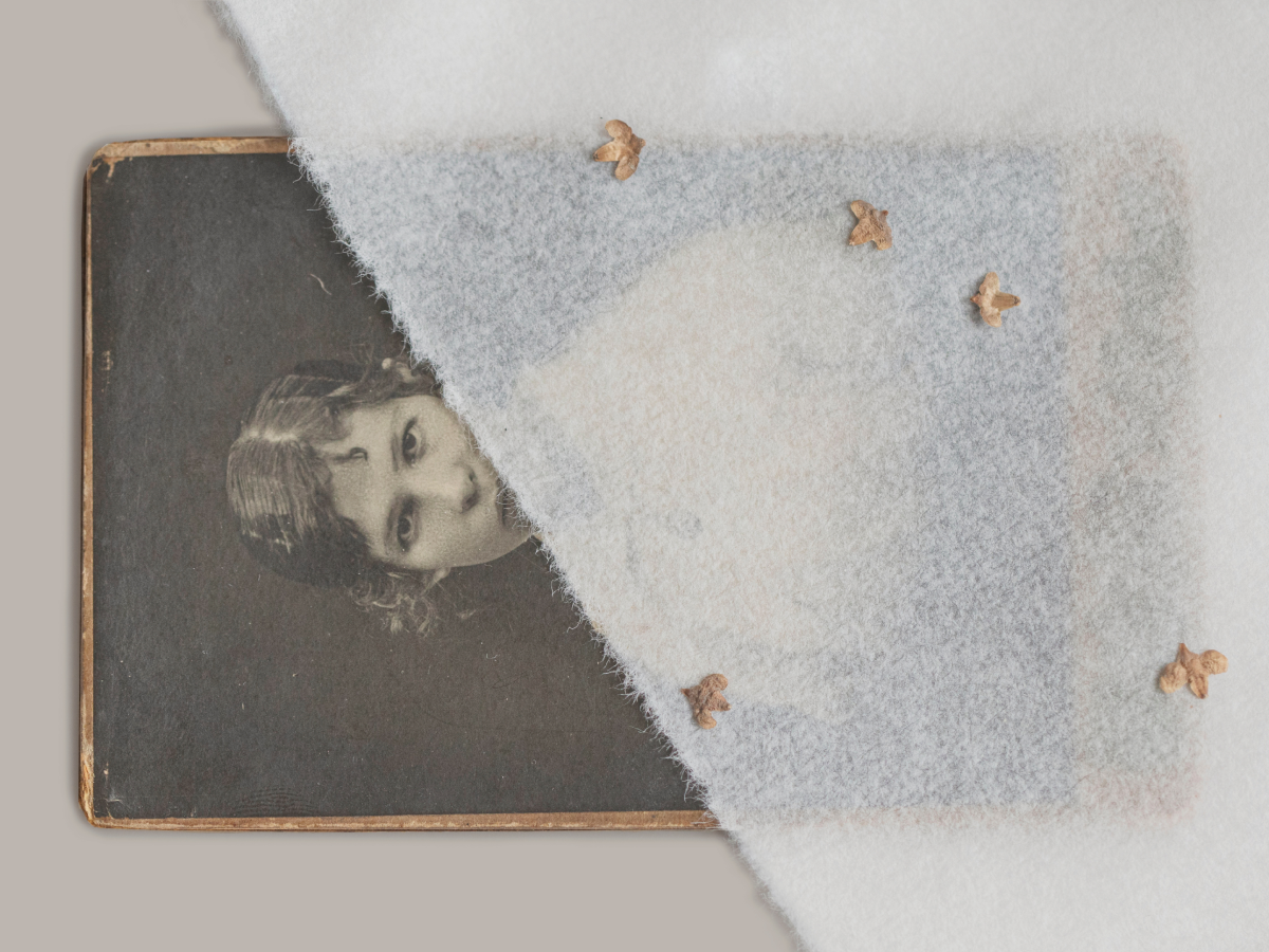 «Комната для всех», «Предел прочности», «Почему я человек»: куда идти и что смотреть в музеях в апреле (фото 5)