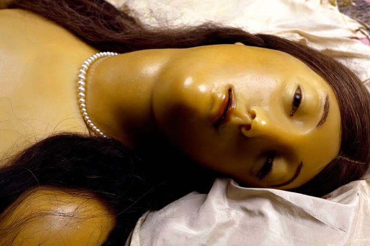 Fondazione Prada и Дэвид Кроненберг показали новую выставку (фото 3)