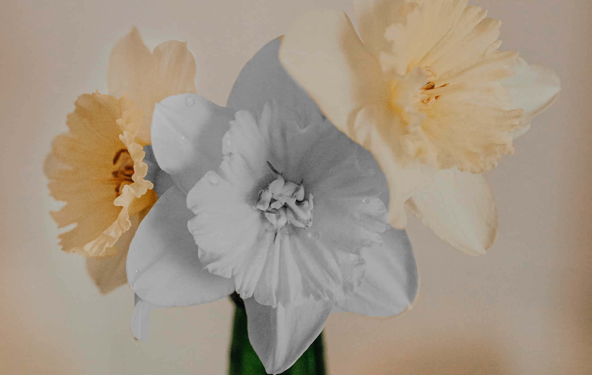 Менопауза: симптомы, о которых не любят рассказывать врачу. Что с ними делать? (фото 10)