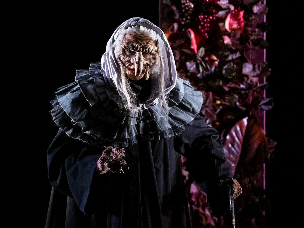 Спектакль пермского «Театра-Театра» «Карлик Нос» покажут в Москве (фото 4)