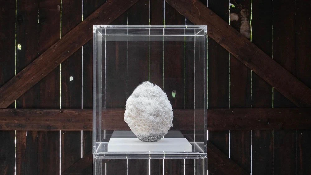 Японская керамистка Эрико Синодзаки выиграла премию фонда Loewe Craft Prize 2023 (фото 2)