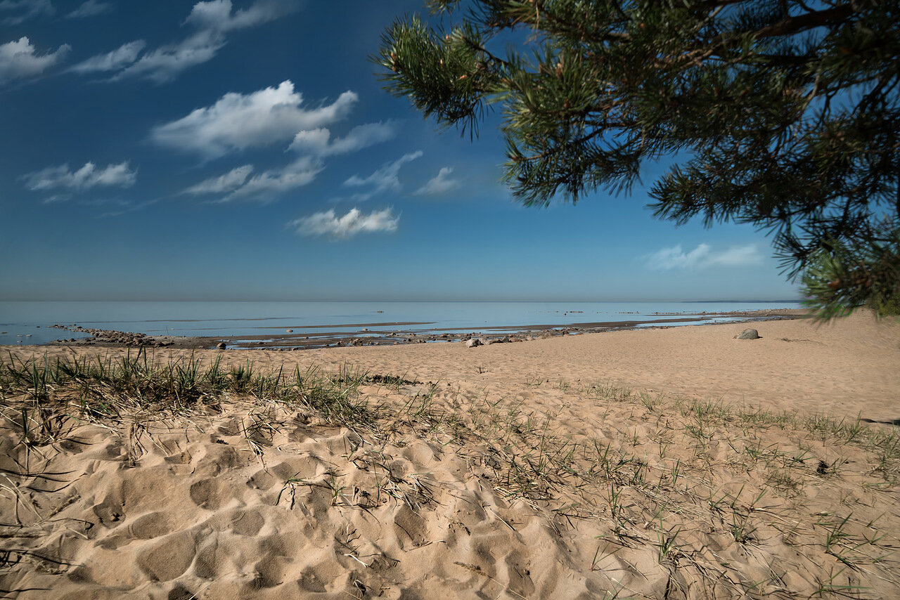 Курорт «Первая Линия. Health Care Resort» отпраздновал 5-летие (фото 3)