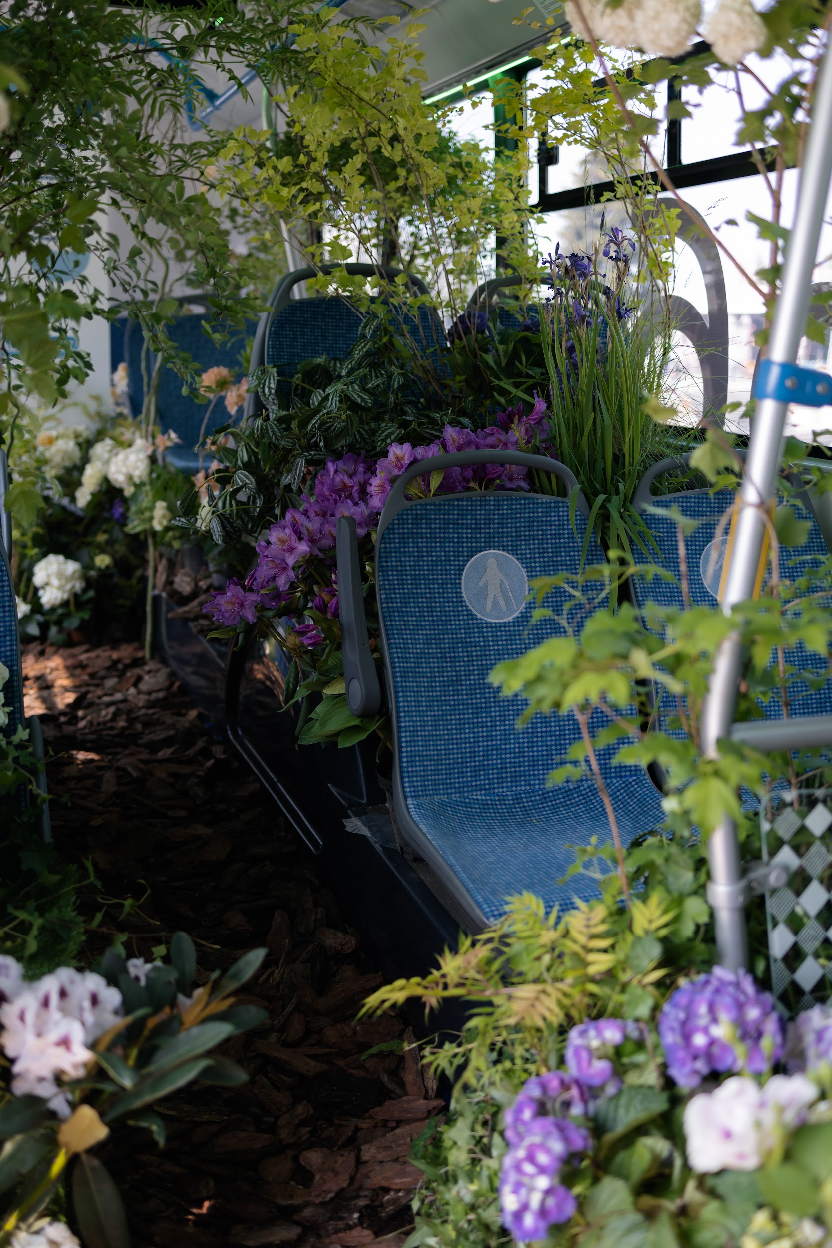 «Москвариум» проведет ежегодный экофестиваль «Горизонт» (фото 1)