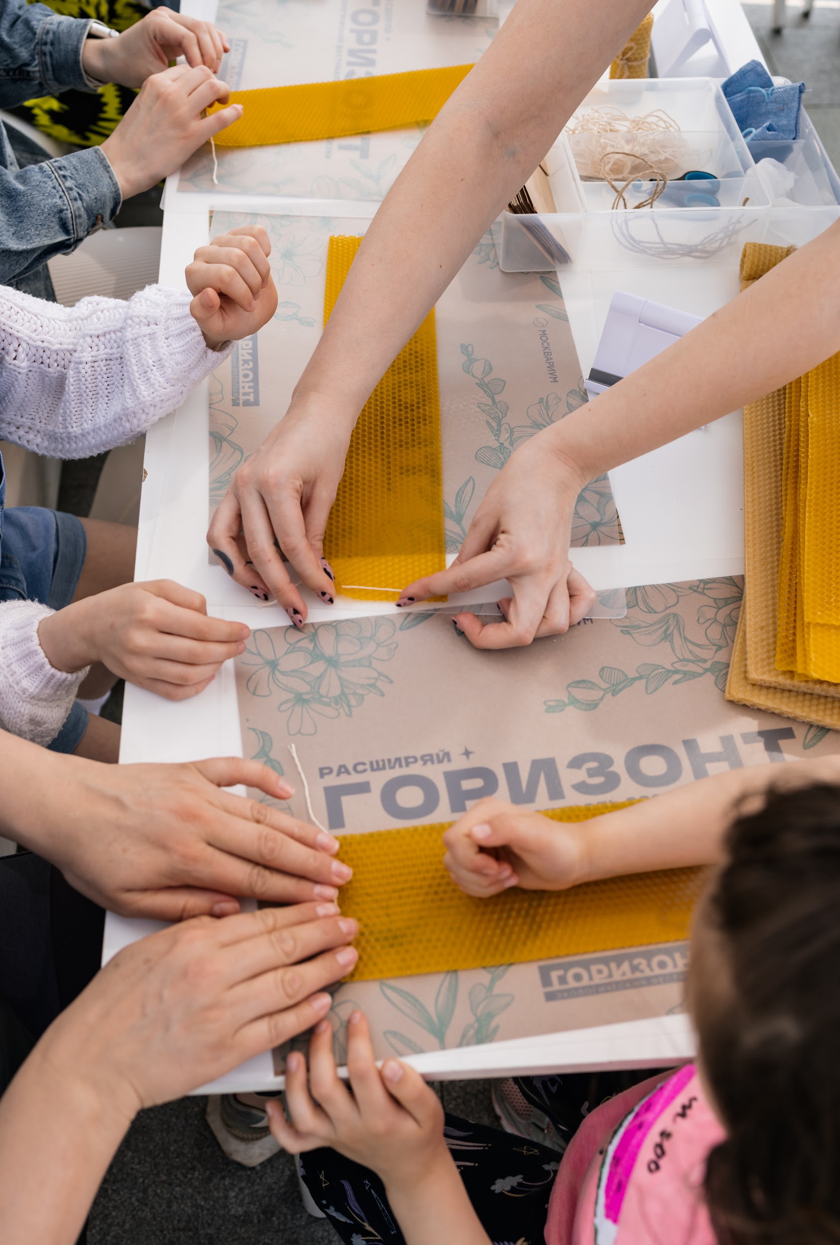 «Москвариум» проведет ежегодный экофестиваль «Горизонт» (фото 6)