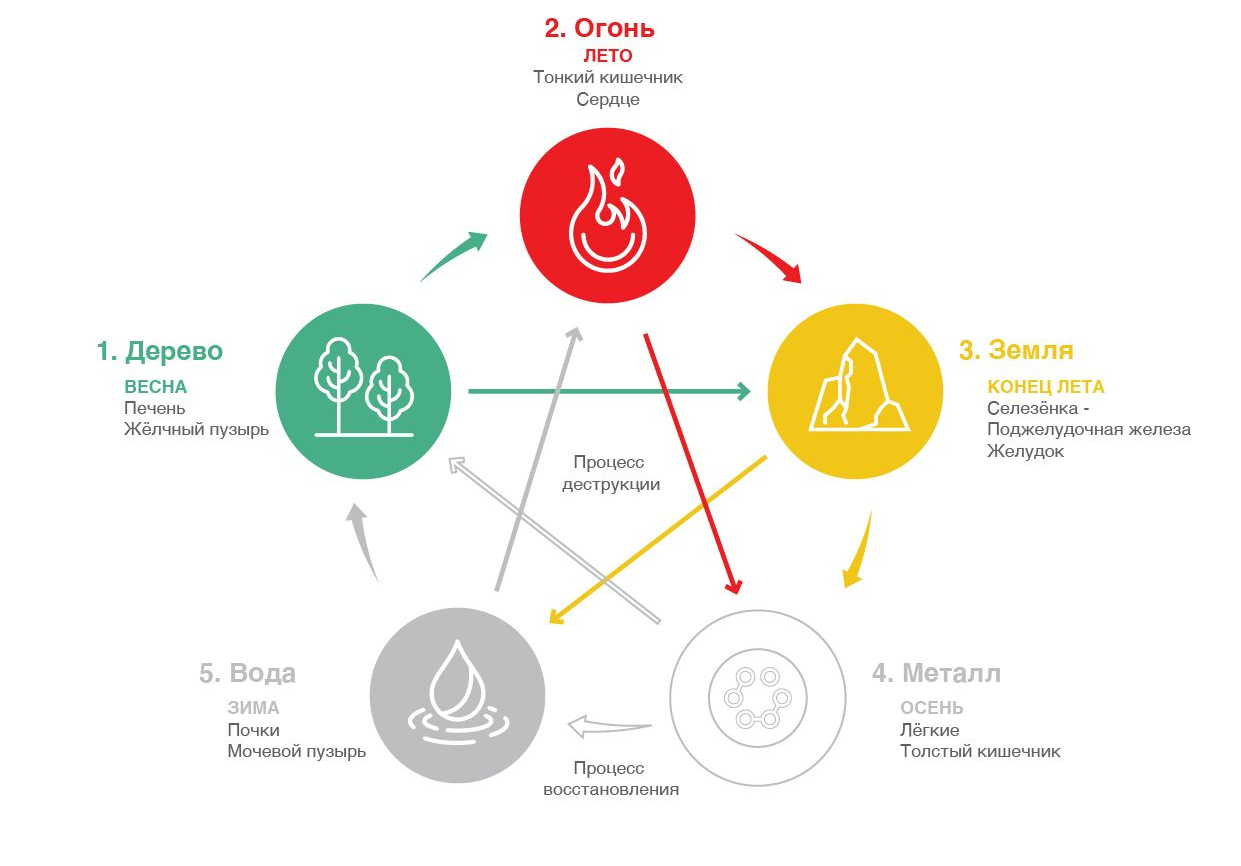 a map showing the relationship of the five elements in Traditional Chinese Medic