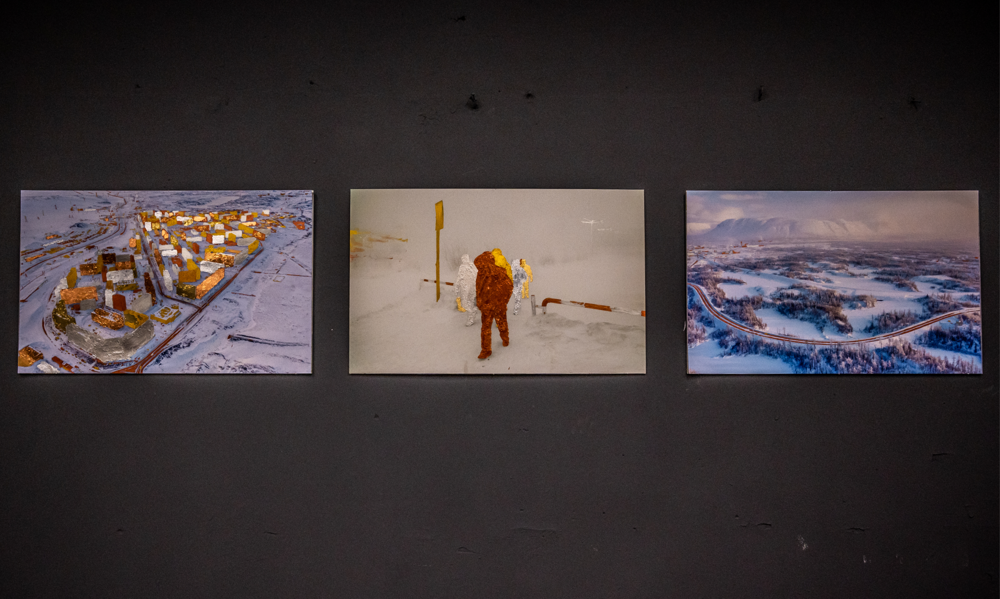 Видео-арт, котики и неочевидный взгляд на привычные вещи: куда идти и что смотреть в музеях в июле (фото 20)