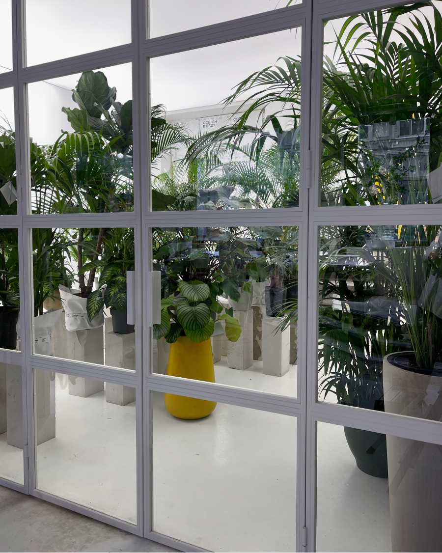 В магазине «Собран в саду» на Петровке открылась теплица с живыми растениями (фото 3)