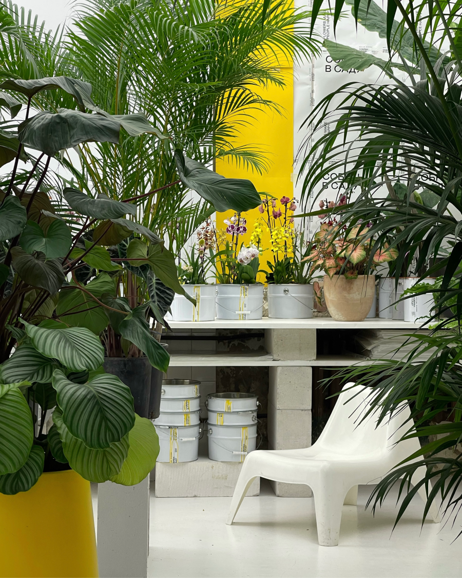 В магазине «Собран в саду» на Петровке открылась теплица с живыми растениями (фото 5)