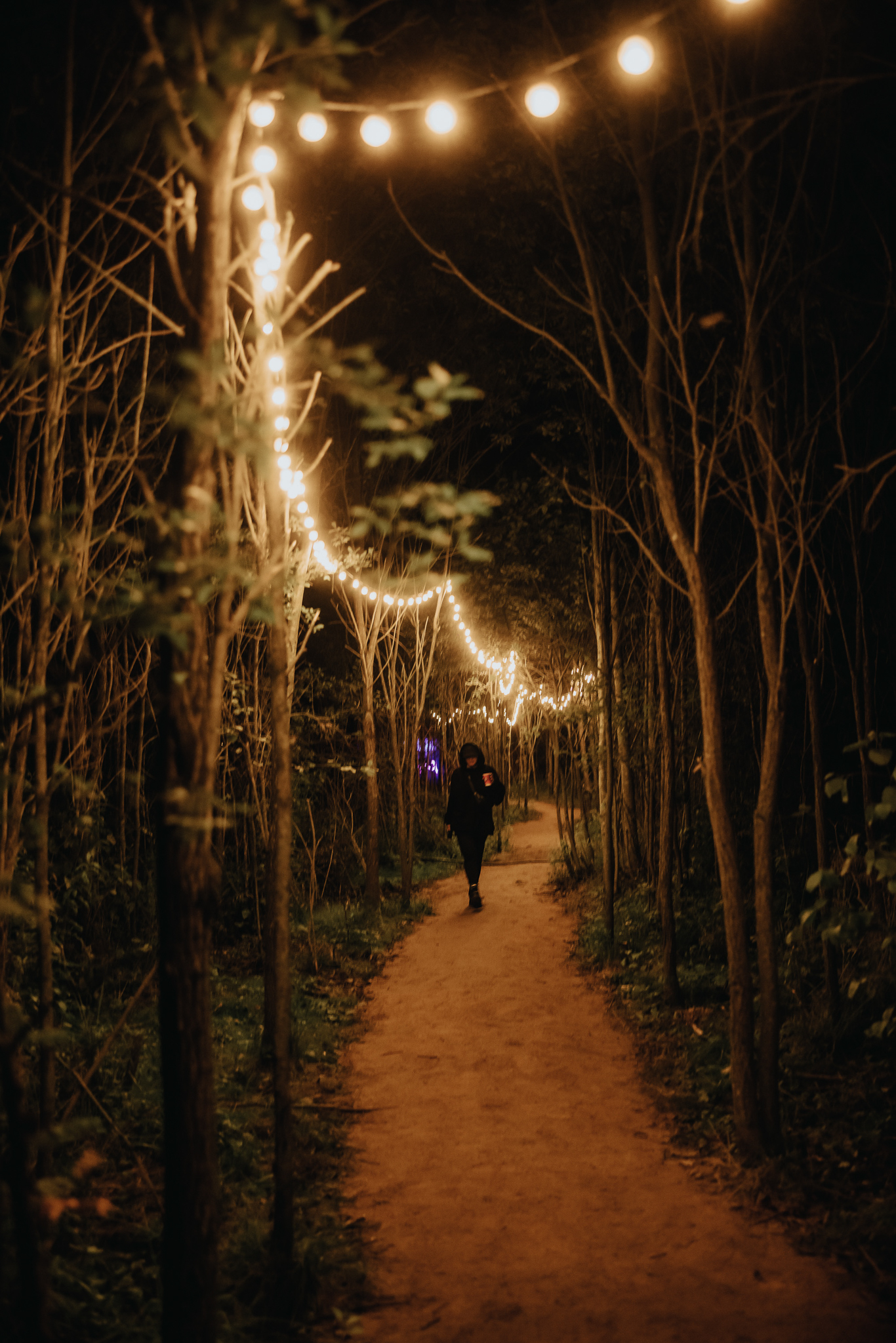 Signal-2023 анонсировал полный лайнап фестиваля (фото 2)