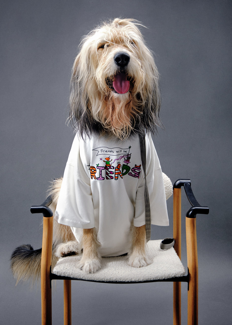 Only me и Artdog for you запустили благотворительный проект в поддержку фонда «Собаки для жизни» (фото 3)
