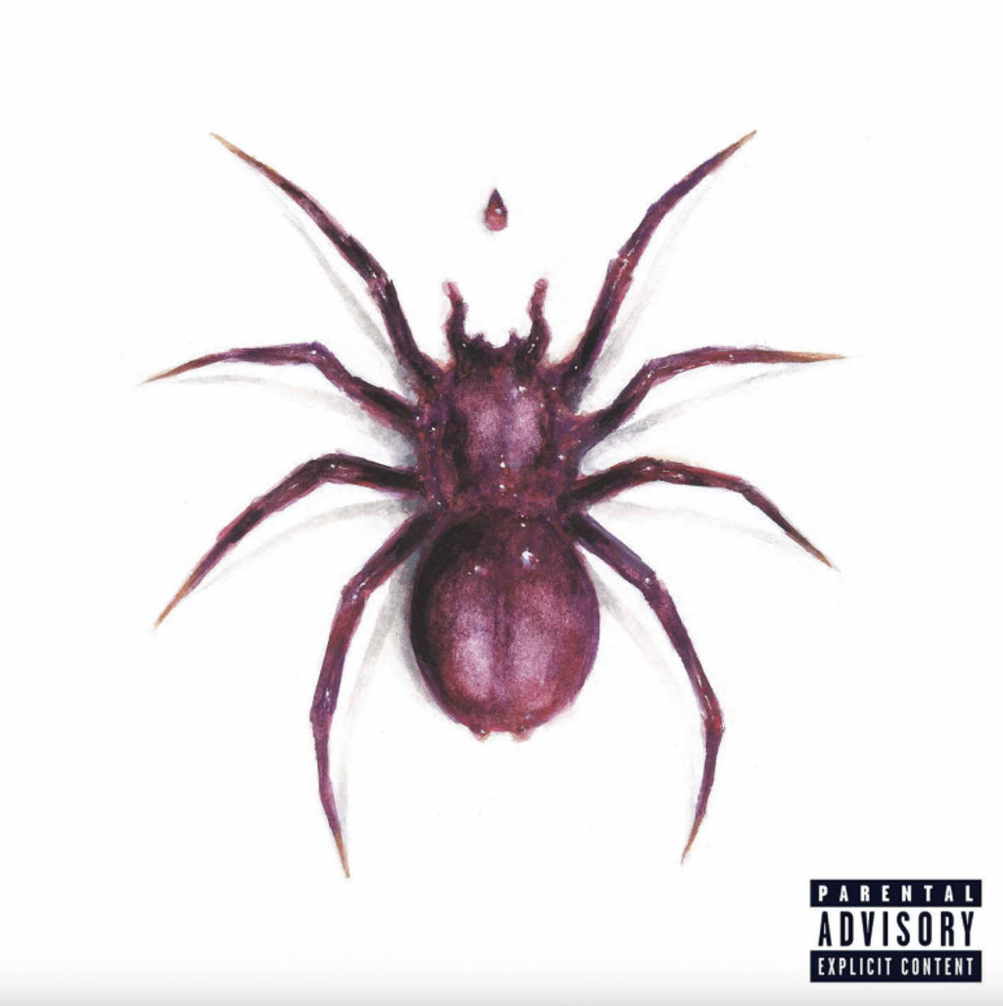 Doja Cat выпустит новый альбом в сентябре (фото 1)