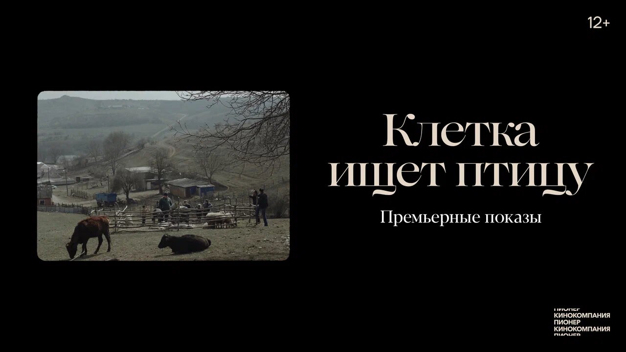 Фильм «Клетка ищет птицу» покажут в Екатеринбурге, Туле и еще 5 городах России (фото 1)