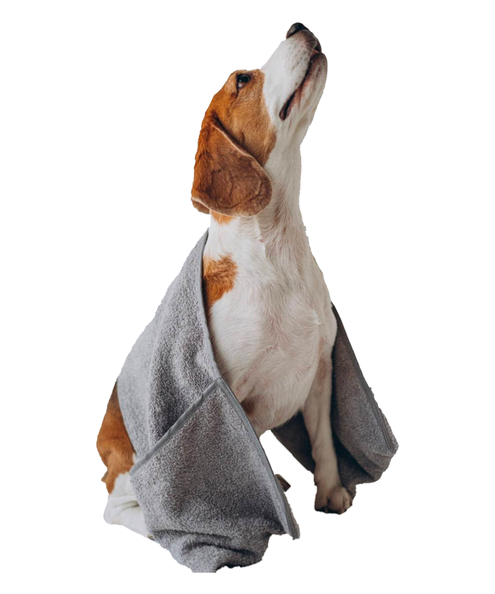 RE→MARKET: что купить и что смотреть? Выбор BURO. (фото 11)