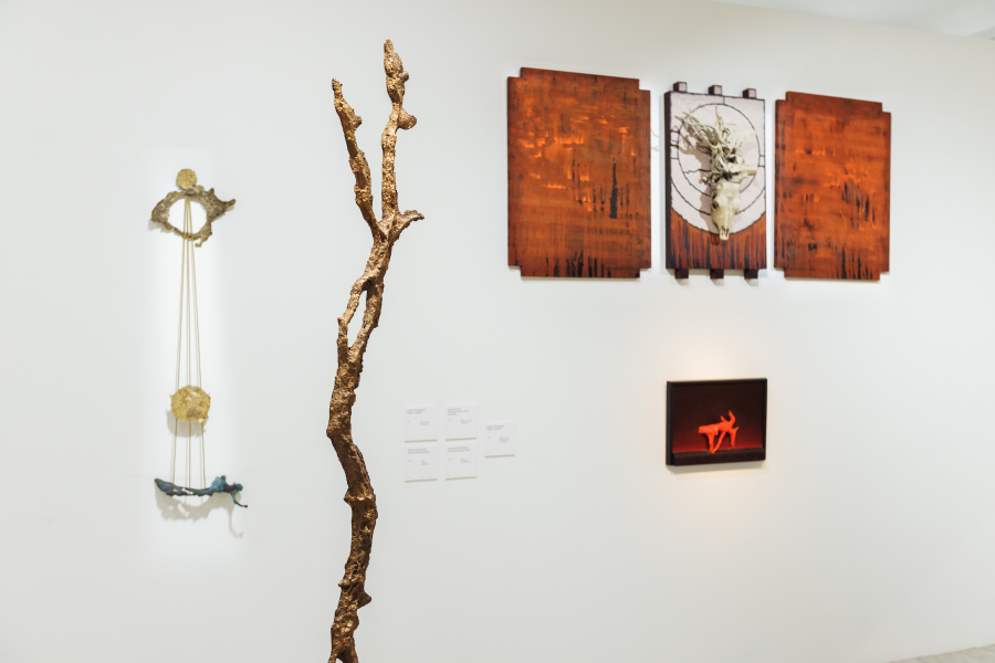 Музей AZ открыл в Иванове выставку «Симпатические взаимодействия» (фото 2)