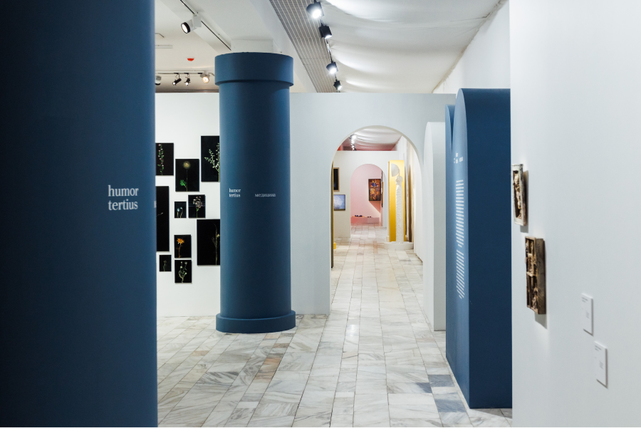 Музей AZ открыл в Иванове выставку «Симпатические взаимодействия» (фото 5)