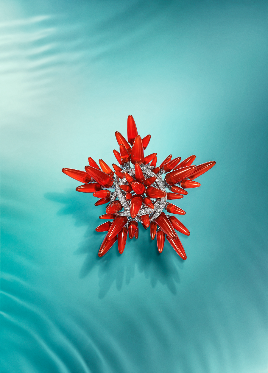 Tiffany & Co. представляет осеннюю коллекцию высокого ювелирного искусства Blue Book (фото 1)