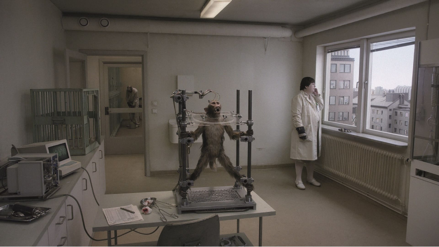 «Голубь сидел на ветке, размышляя о бытии» Роя Андерссона выходит в российский прокат (фото 2)