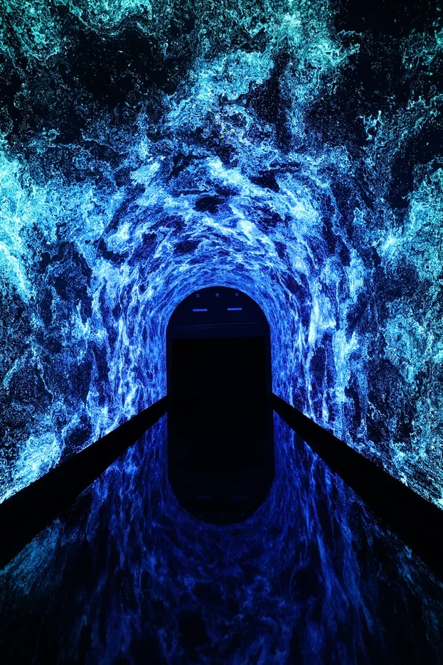 В Москве открылось иммерсивное арт-пространство Luminar (фото 5)