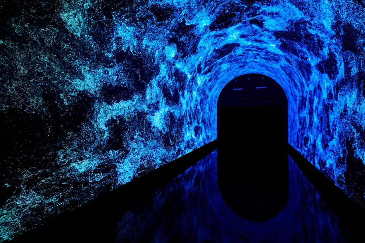 В Москве открылось иммерсивное арт-пространство Luminar (фото 7)