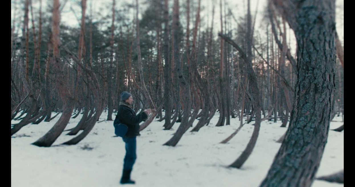 «Ниша»: 5 причин посмотреть полнометражный дебют Антона Ермолина (фото 1)