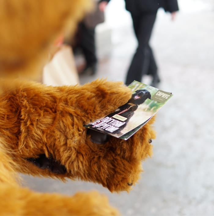 В Москве прошла благотворительная акция волонтерского движения «Погуляй собаку» (фото 1)