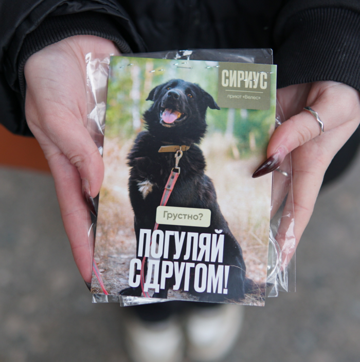 В Москве прошла благотворительная акция волонтерского движения «Погуляй собаку» (фото 2)