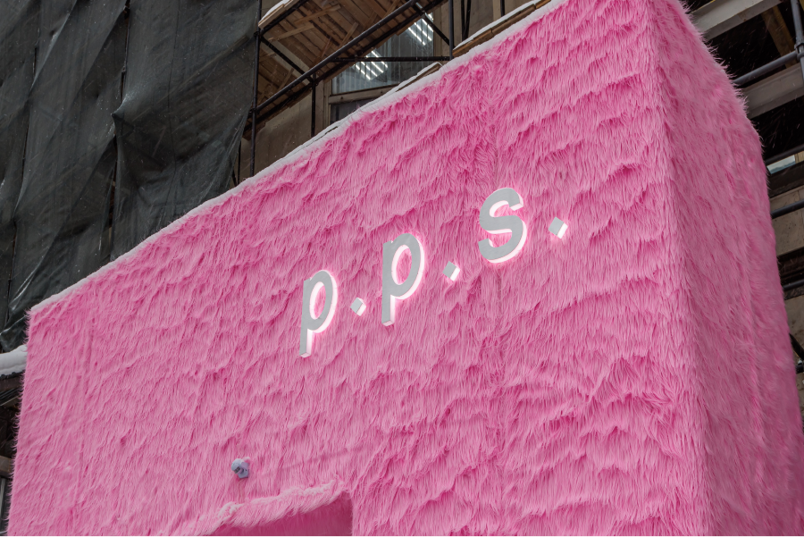 p.p.s. представил новый арт-проект (фото 5)