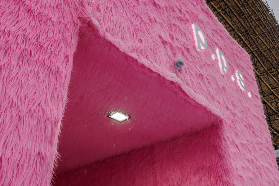 p.p.s. представил новый арт-проект (фото 4)