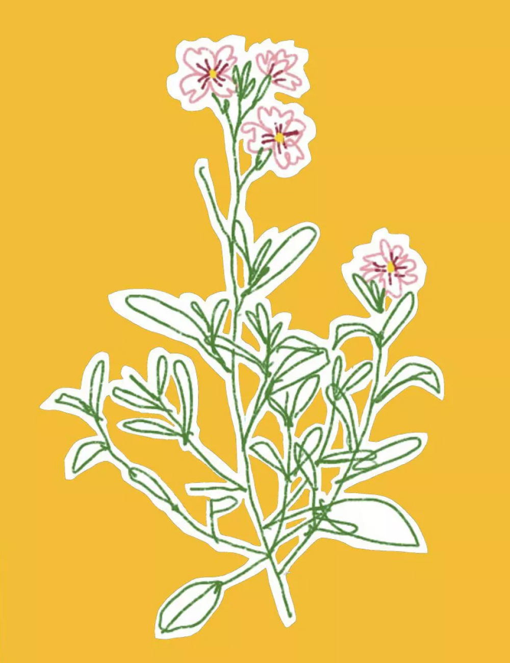 «Искусство, которое может позволить себе каждый»: Анастасия Постригай — о ценности тиражной графики (фото 4)