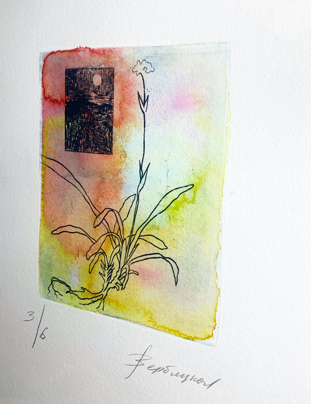 «Искусство, которое может позволить себе каждый»: Анастасия Постригай — о ценности тиражной графики (фото 9)