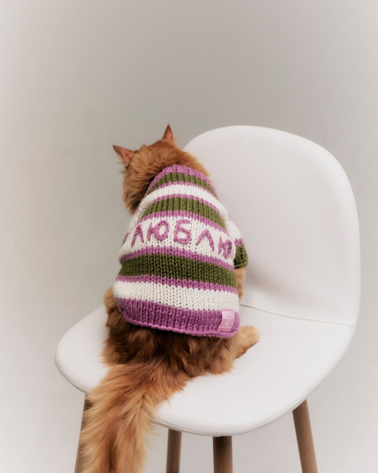 «Мурмуризм» выпустил коллекцию свитеров для кошек (фото 5)