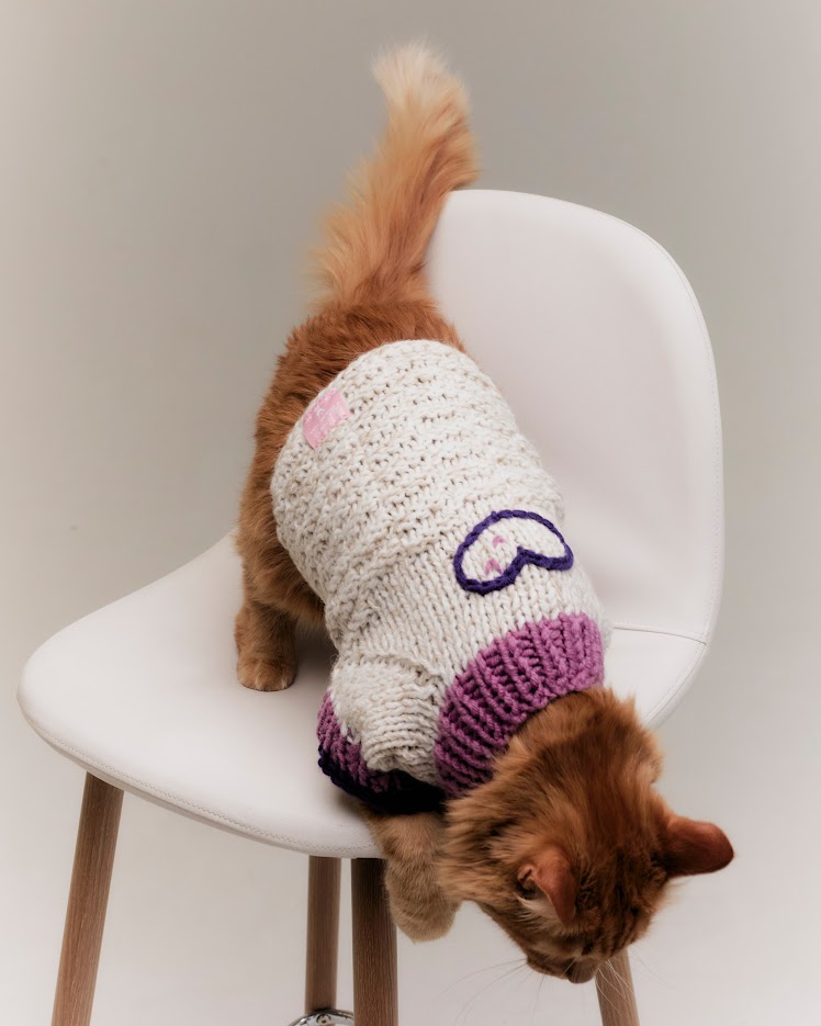 «Мурмуризм» выпустил коллекцию свитеров для кошек (фото 3)