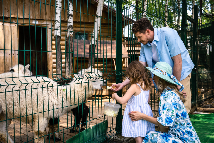 Экоотель «Руза Фэмили Парк» приглашает провести новогодние праздники (фото 7)